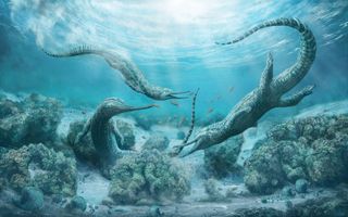 An illustration of the newly discovered phytosaur species Mystriosuchus steinbergeri, a crocodile-like beast that lived 210 million years ago in what is now Austria.