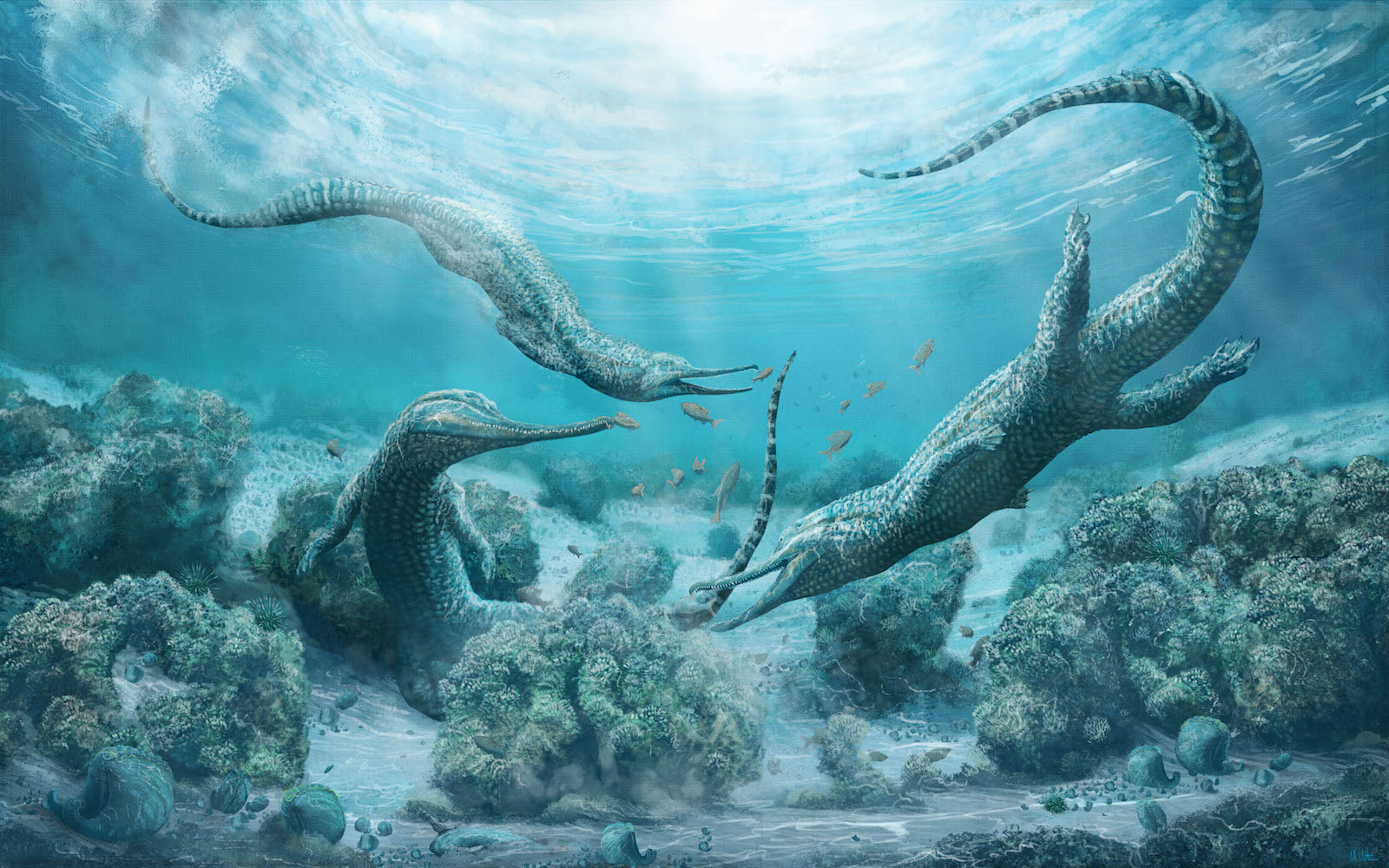 Car-Size 'Sea Monster' Terrorized Triassic Oceans | Live Science