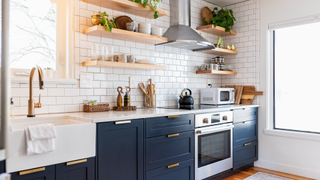 Kitchen with plants on shelves