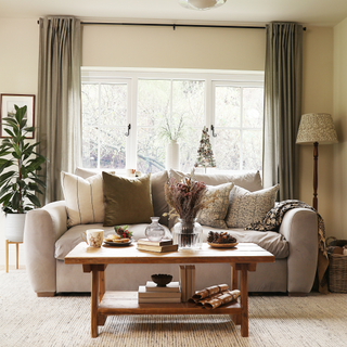 Neutral living room with coffee table and lots of books