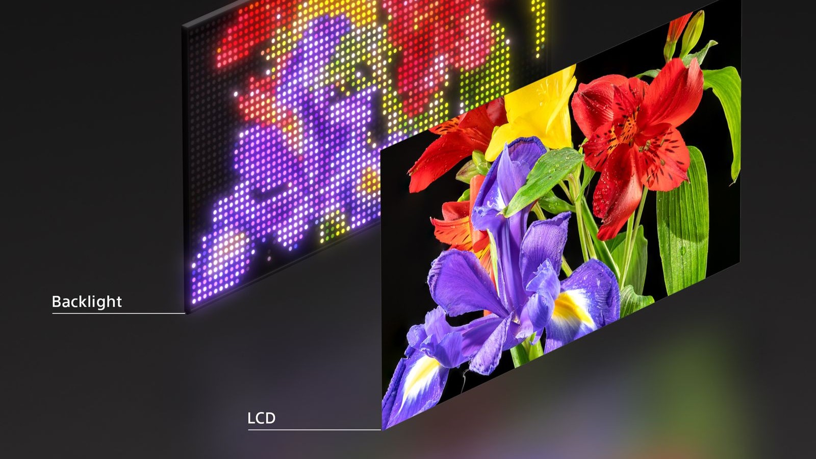 RGB mini-LED backlight cutaway