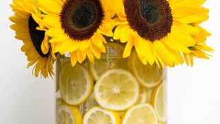 Sunflowers arranged in stacked vases with lemon slices