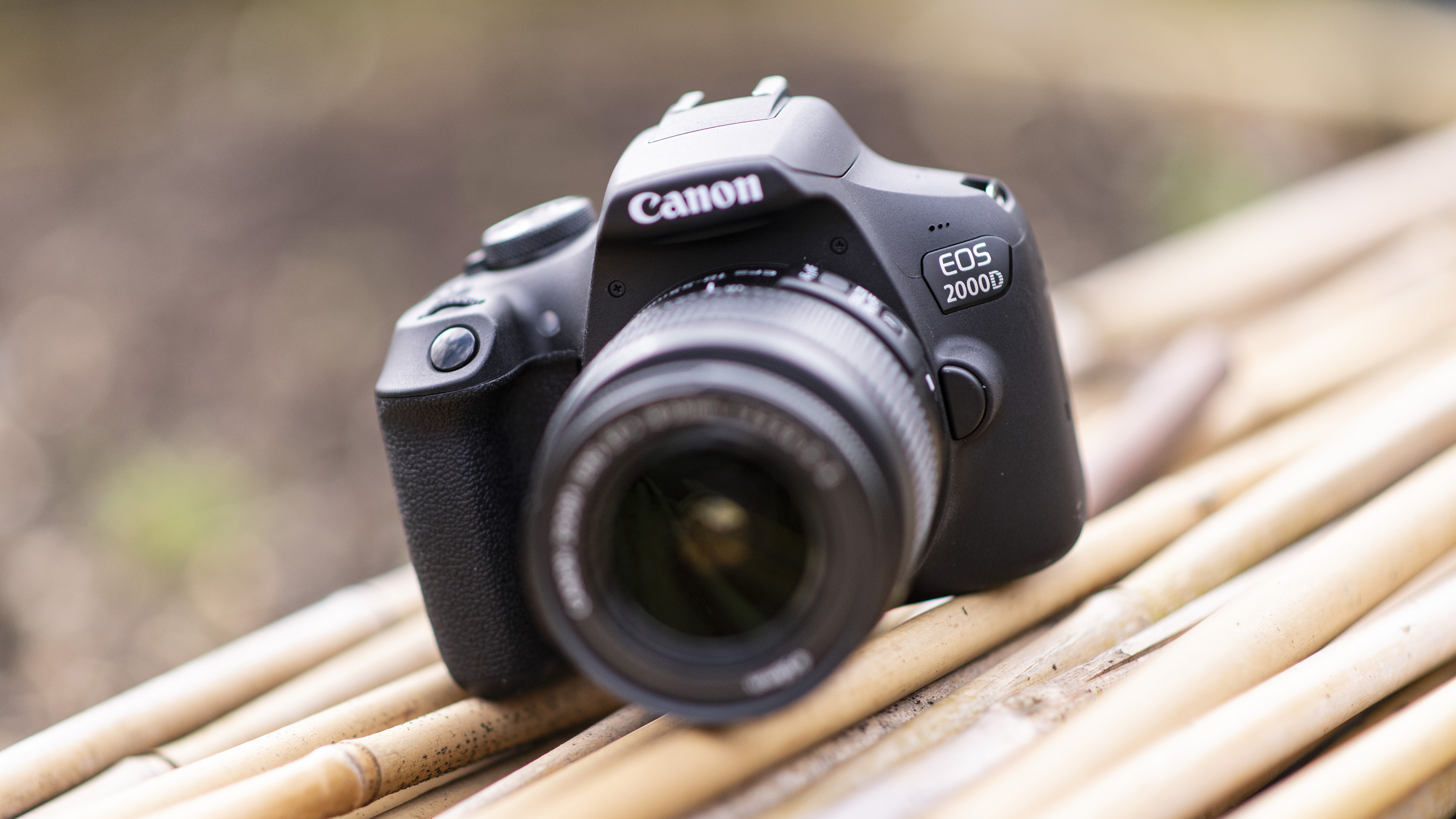 Canon EOS 2000D bambujen päällä