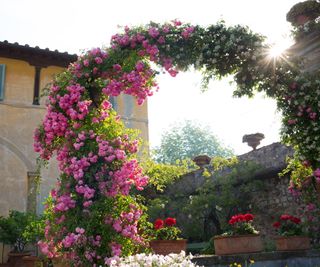 Tuscan garden with rose arch with pink flowers