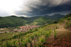 Alsace Grand Cru Terroir