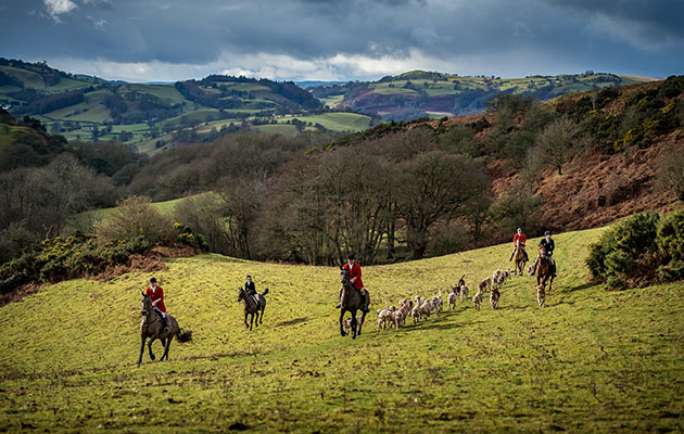 Huntsman Richard Evans has the patience and confidence to give the pack space and time