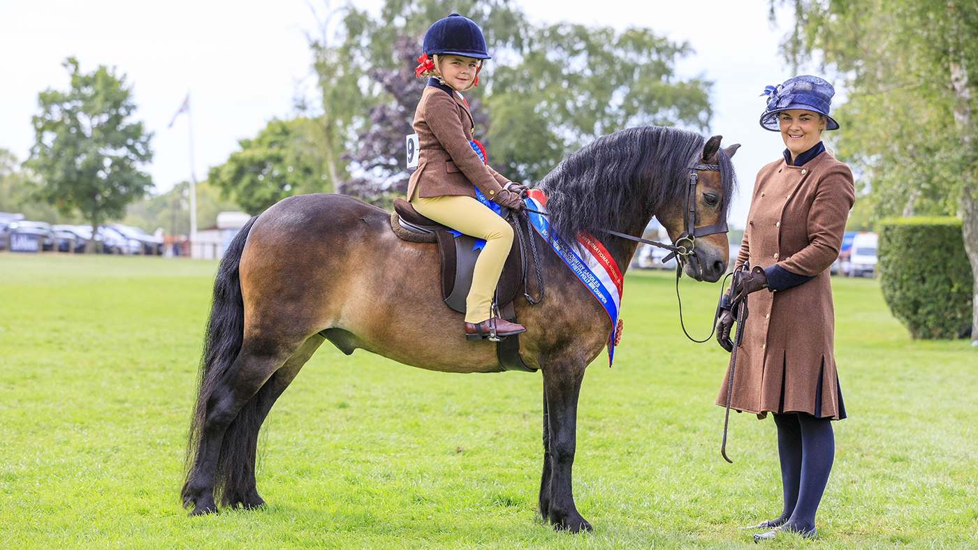 M&amp;M Pretty Polly mini supreme championship