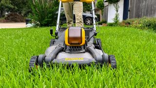 DeWALT DCMWSP244U2 60V MAX* Cordless Brushless RWD Self-Propelled Mower being tested in writer's yard