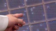 Man pointing to scientific sperm trays 