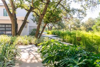 pathway border plants at home in Texas by Eden Garden Design