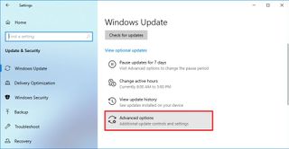 Windows Update advanced option