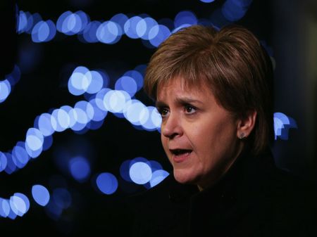 wd-sturgeon.jpg