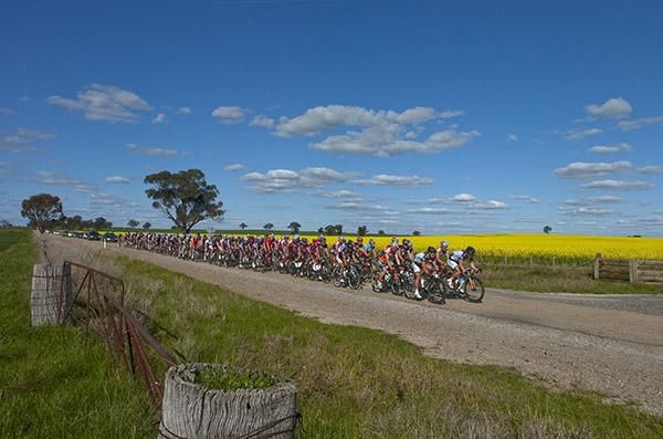 The peloton beneath blue skies during stage two from Yarrawonga to Cobram.
