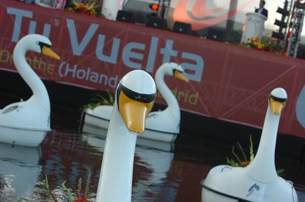 Swans
