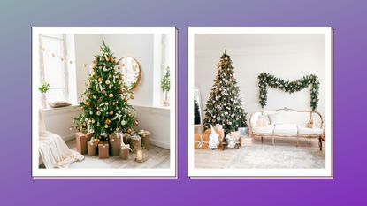 two Christmas tree images in squares against a faded purple background