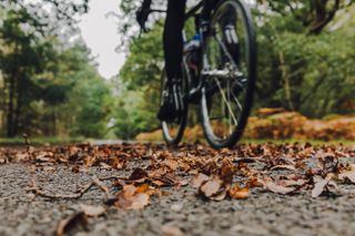 Image shows a cyclist on a bike ride during Autumn.