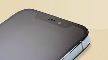 iPhone 12 Pro showing the notch at the top of the screen