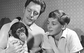 Gerald Durrell with Chumley the chimp and wife Jacquie