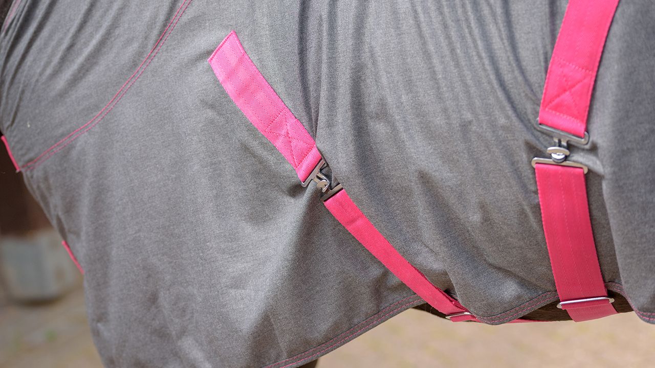 Thermomaster summer stable rug review
