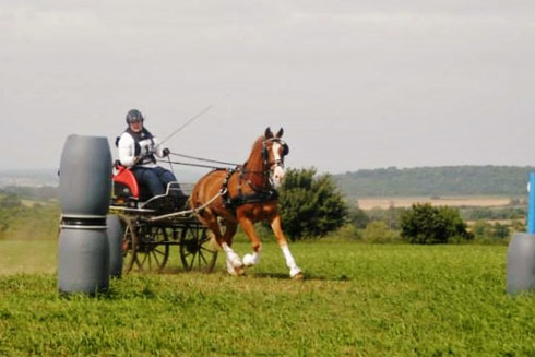 Emily Ham collecting Alfie for a turn