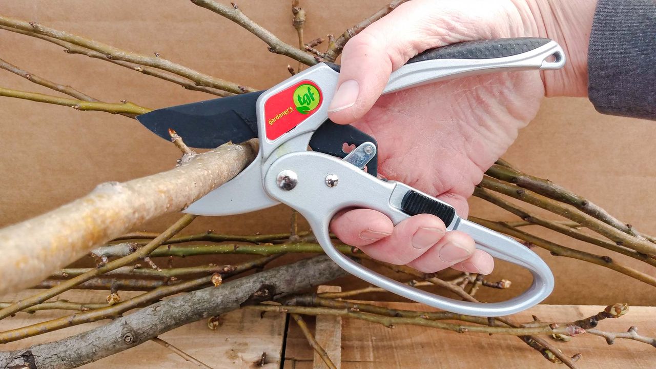 Best Pruning Shears: