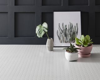 Rubber patterned white flooring against black paneled wall with house plants