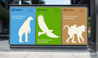 San Diego zoo posters