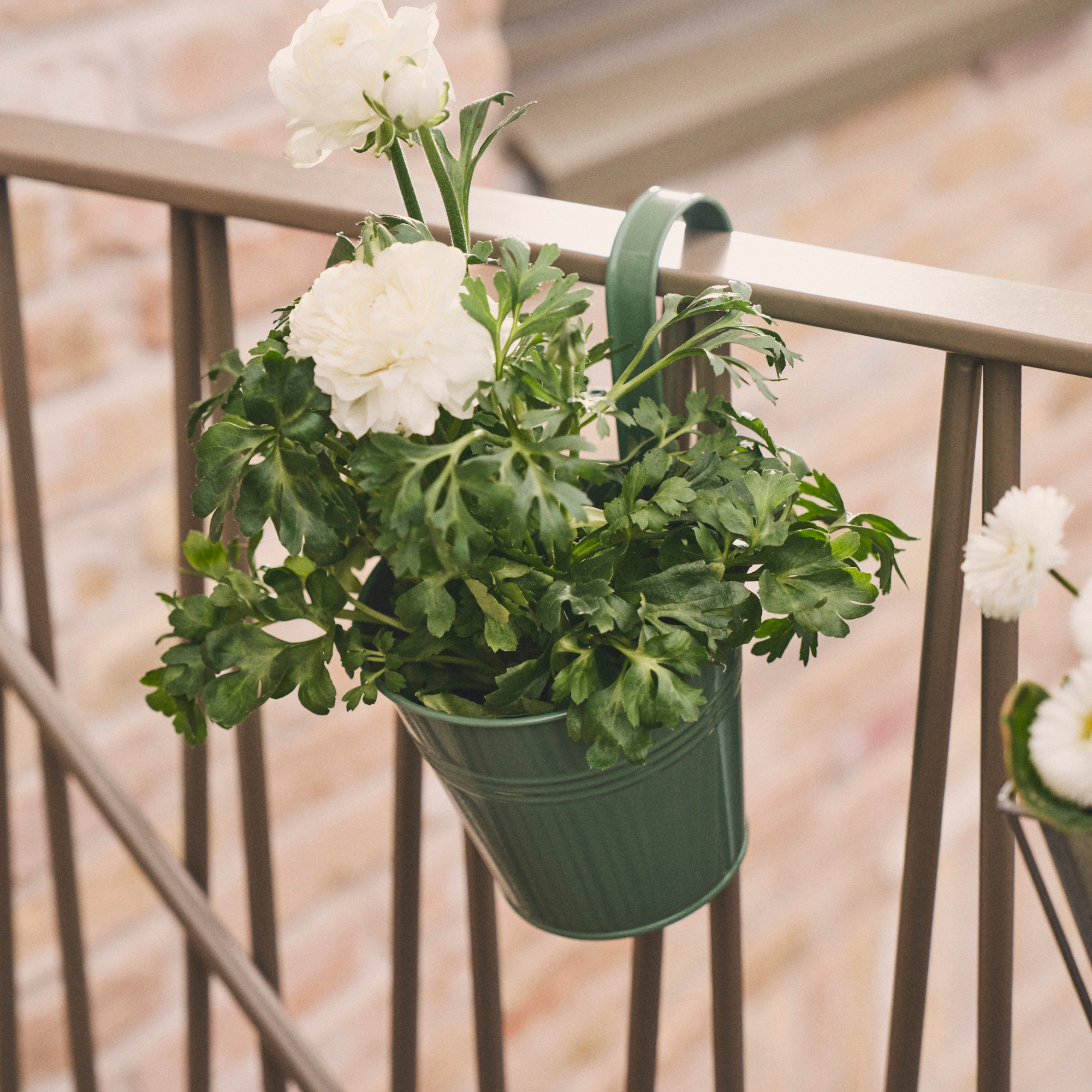 Hanging flowerpot