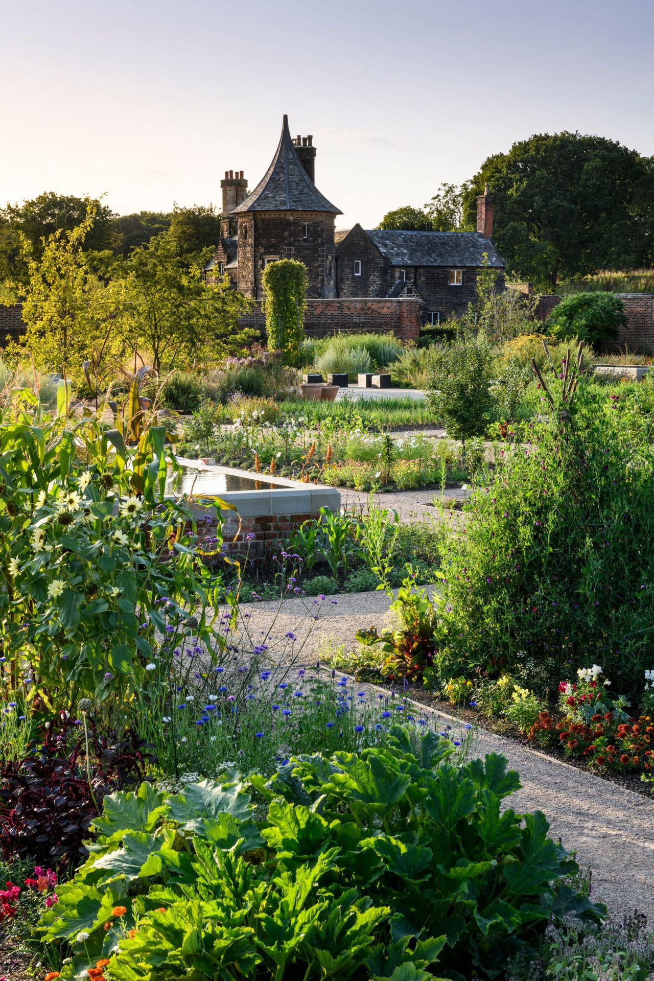 The Kitchen Garden at RHS Garden Bridgewater © RHS and Jason Ingrams