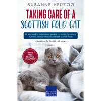 Taking Care Of A Scottish Fold Cat | Amazon