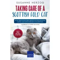Taking Care Of A Scottish Fold Cat | Amazon