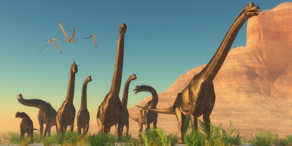 Dinosaur Herd