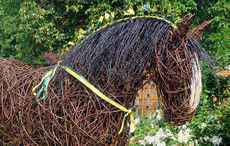 Willow-Shire-thumbnail.jpg