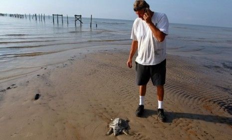 The oil slick has reached the Louisiana coast, where dozens of dead sea turtles are washing ashore.