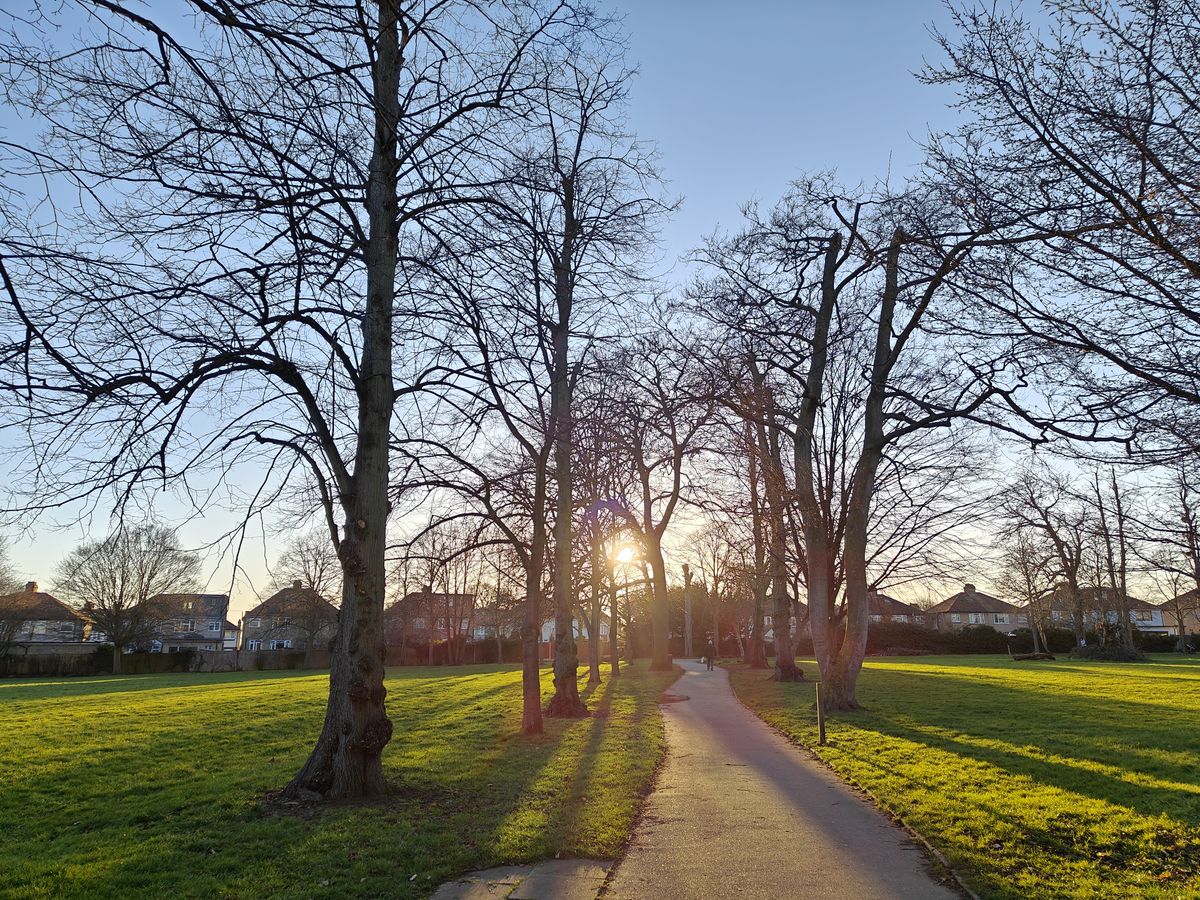 A photo taken on the OnePlus 11