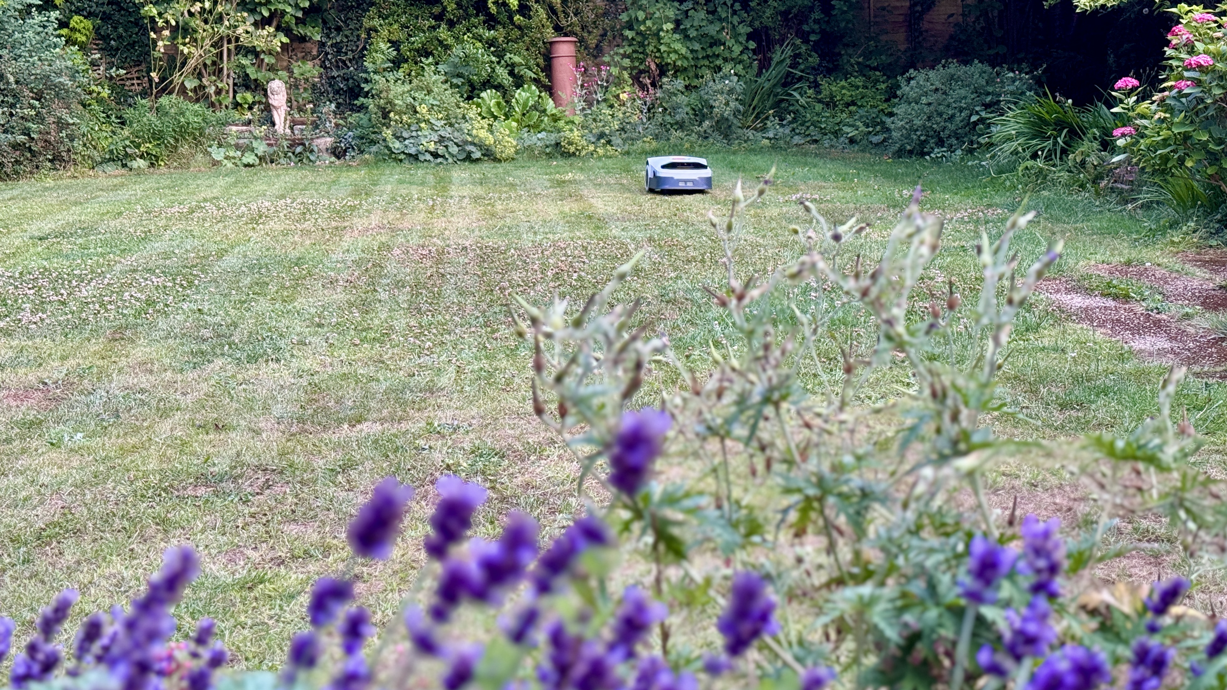 Anthbot Genie 300 robot lawn mower in reviewer's yard