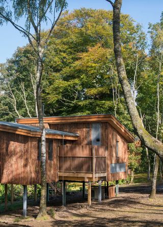 A wooden cabin-style treehouse in a forest in Lanrick, Scotland