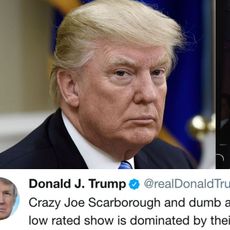 Donald Trump Can't Stop Tweeting About Morning Joe Hosts Mika and Joe