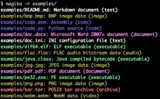 Magika command line tool used to identify the type a varied set of files.