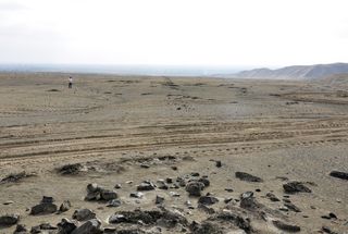 peruvian lines in desert