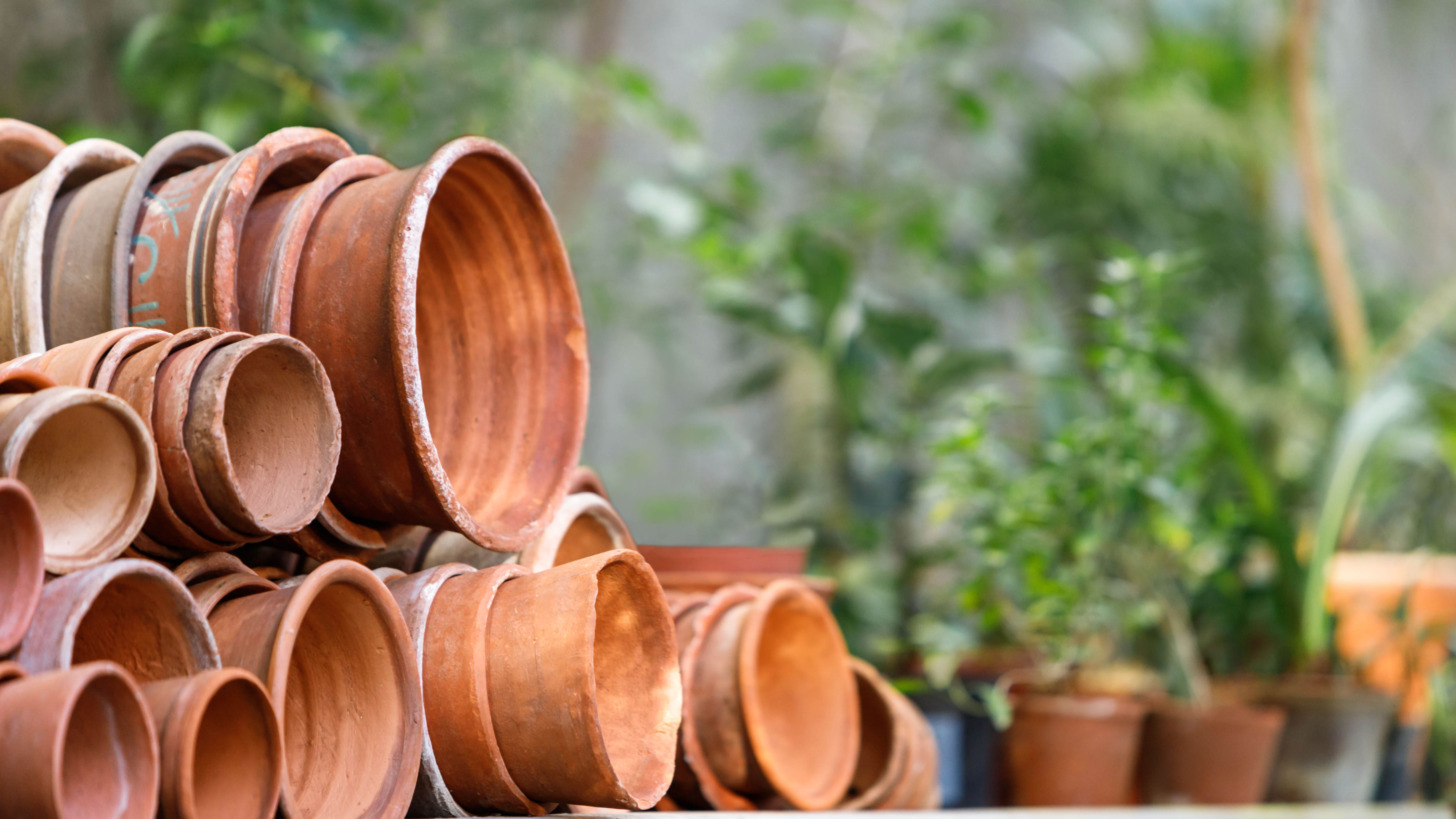 A line of terracotta pots