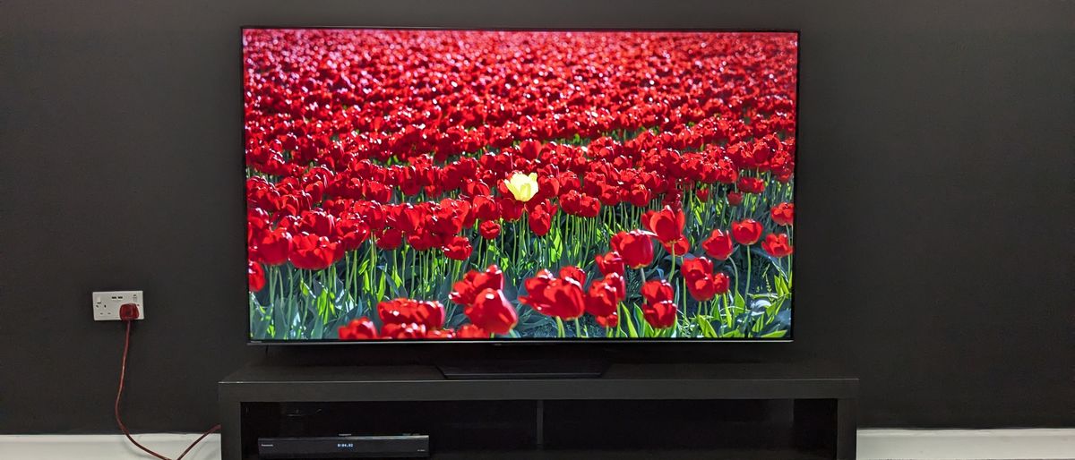 Hisense U7N hero image with red flowers on screen 