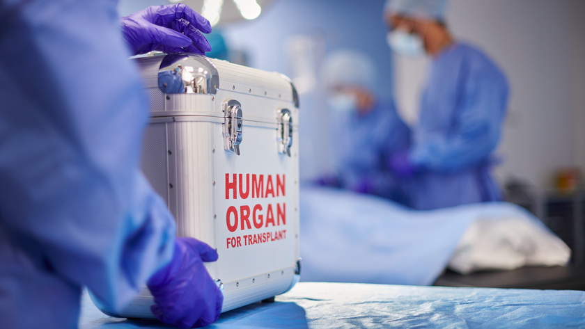 a person in blue scrubs and purple nitrile gloves holds a steel container reading &quot;human organ for transport&quot; in a hospital OR setting