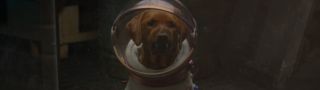 Cosmo The Space Dog in Guardians of the Galaxy