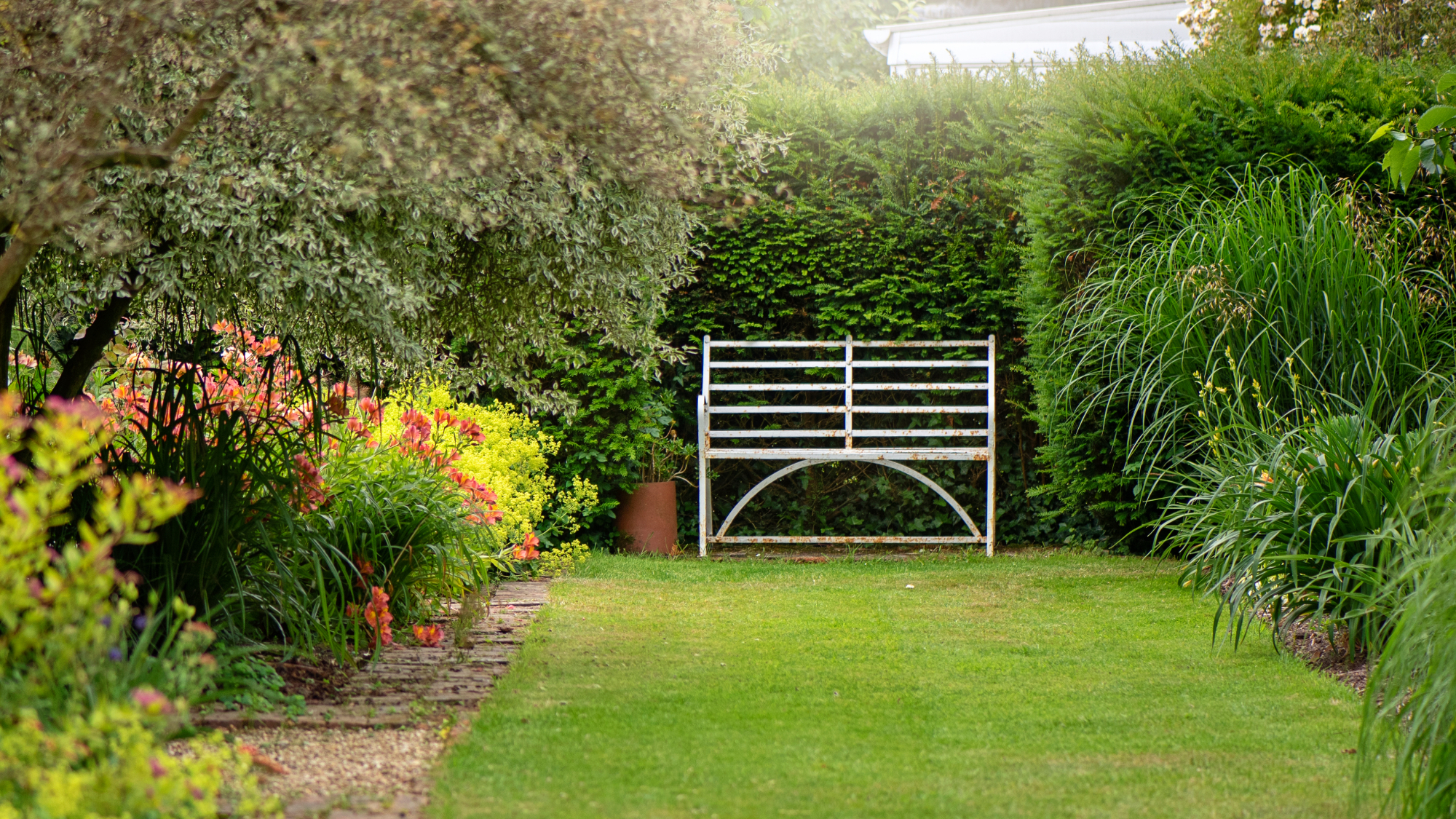 lawned garden with hedges along both sides and at rear, planted borders and white metal bench