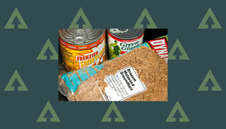 How to choose groundbait: sweetcorn and groundbait