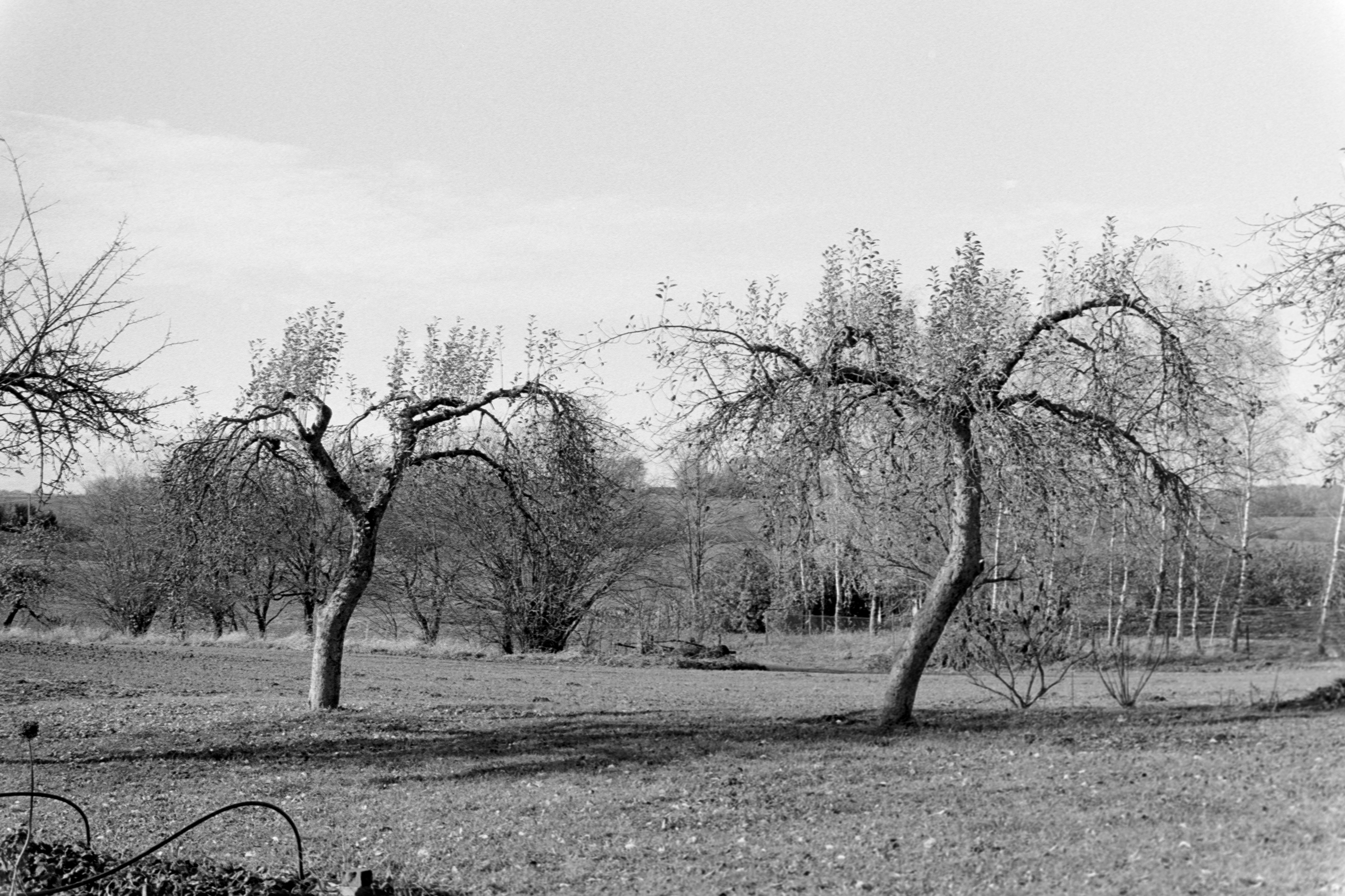 GuruShots - Monochrome Moments Jan 26