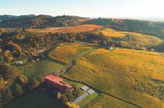 Willamette Valley Chardonnay 2023