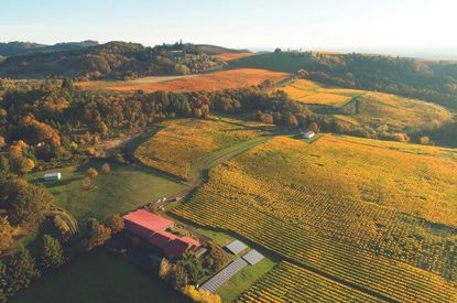 Willamette Valley Chardonnay 2023