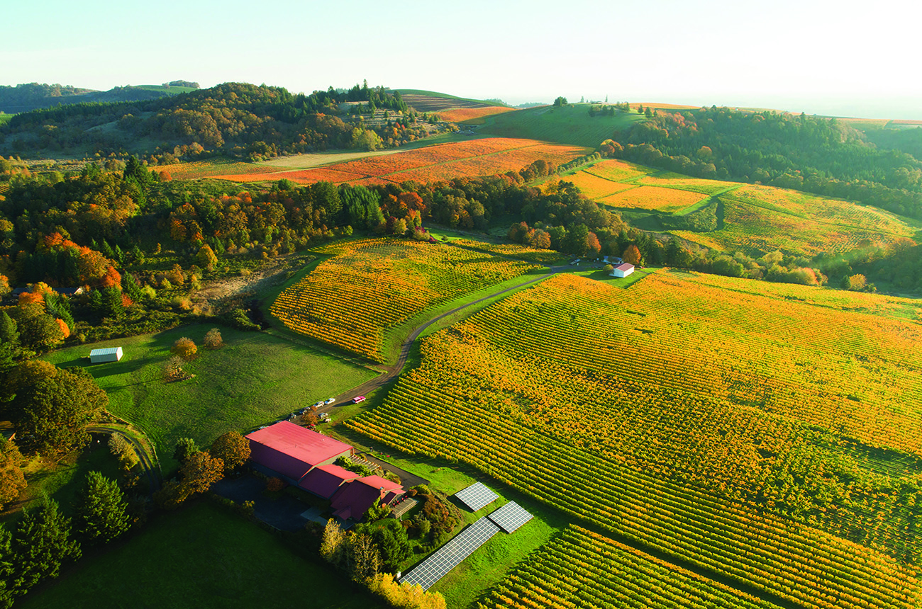 Willamette Valley Chardonnay 2023